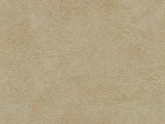 Pebble