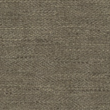 Textured brown color swatch