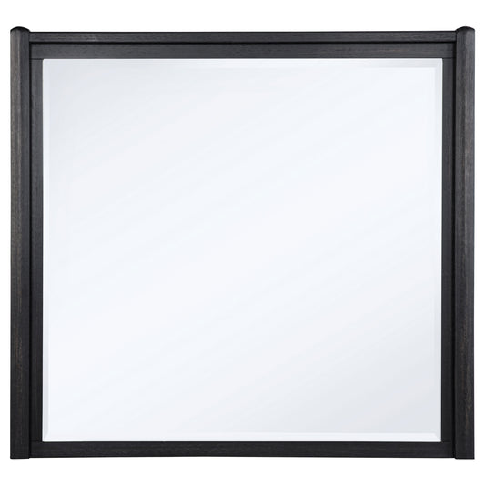 Leandro Dresser Mirror Burnished Black
