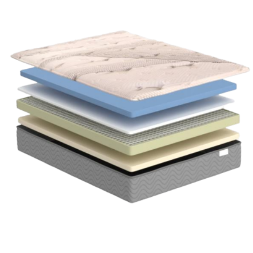 Lyric 12" Plush Bed-In-A-Box