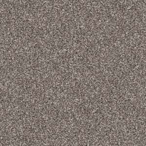 Yes You Can Carpet by Shaw