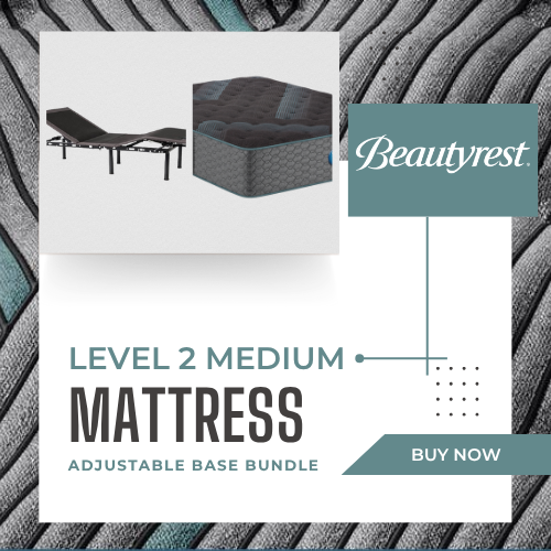 Level 2 Medium + E255 Bundle