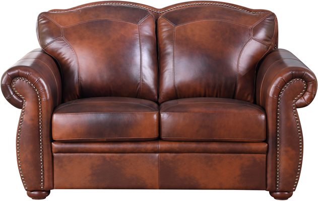 Arizona Loveseat in Marco Brown leather by Leather Italia