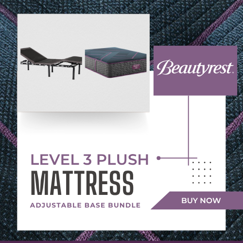 Level 3 Plush + E255 Bundle