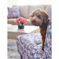 Kennedy Sofa — i-Hallandale Wicker — view 10