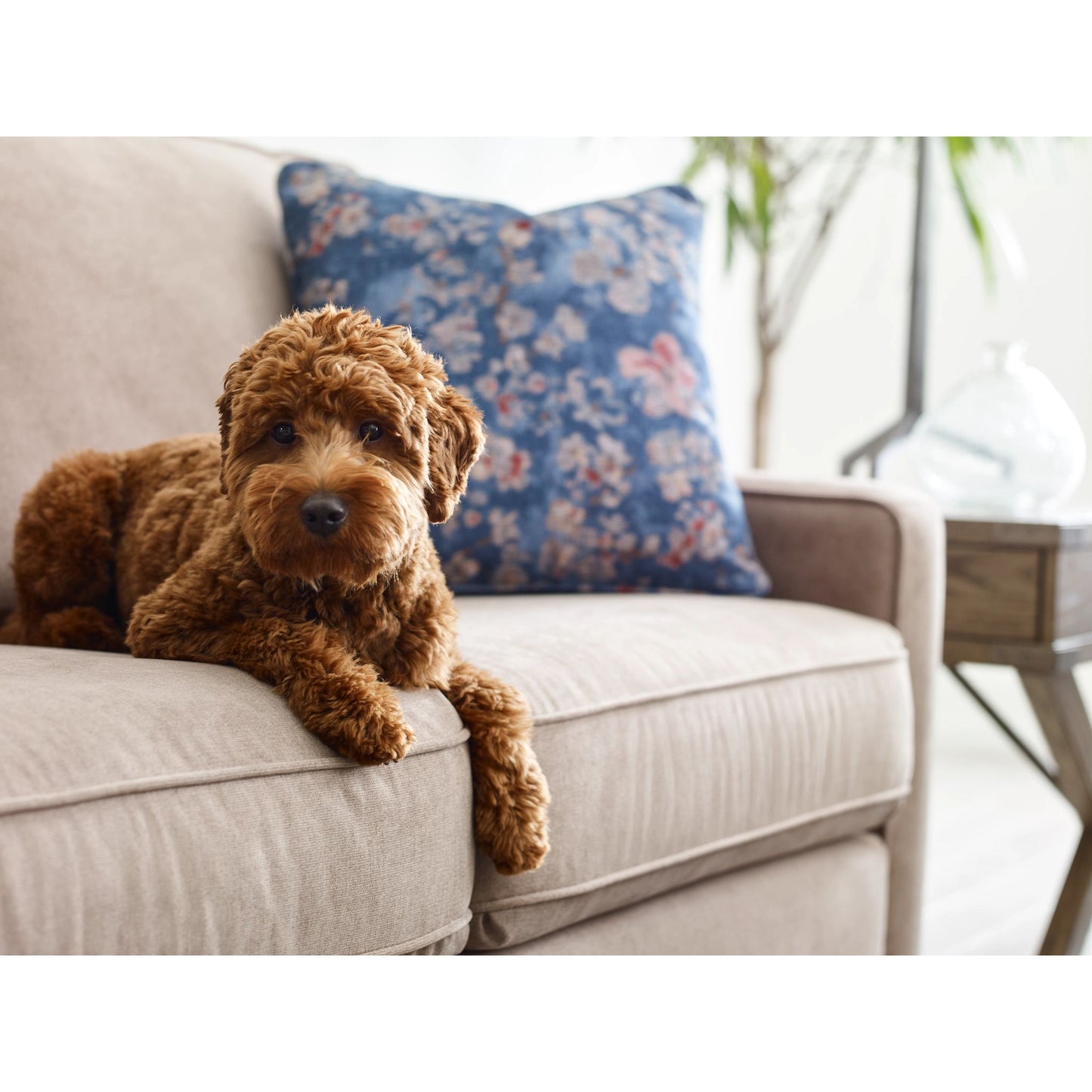 Kennedy Sofa — i-Hallandale Wicker — view 17