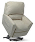 Jean Bronze Power Lift Recliner