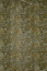 AK2 Gold