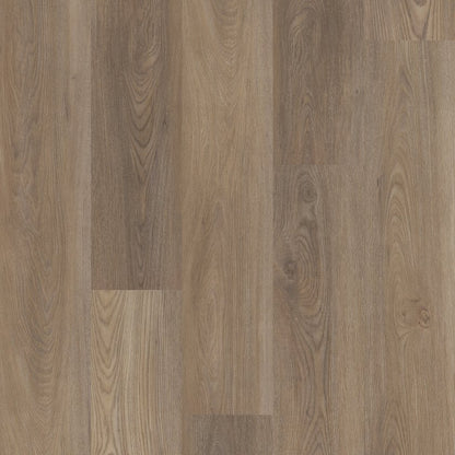 Distinction Plus By Shaw