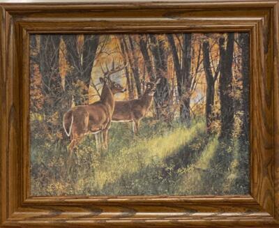 Deer Framed Picture