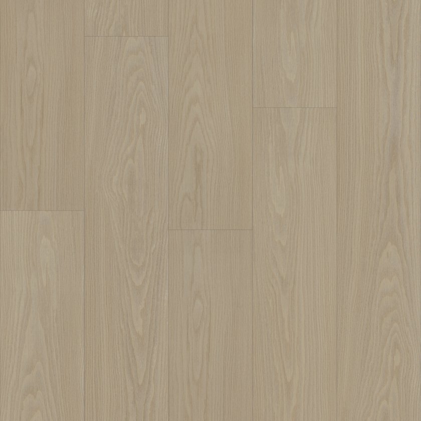 Distinction Plus By Shaw