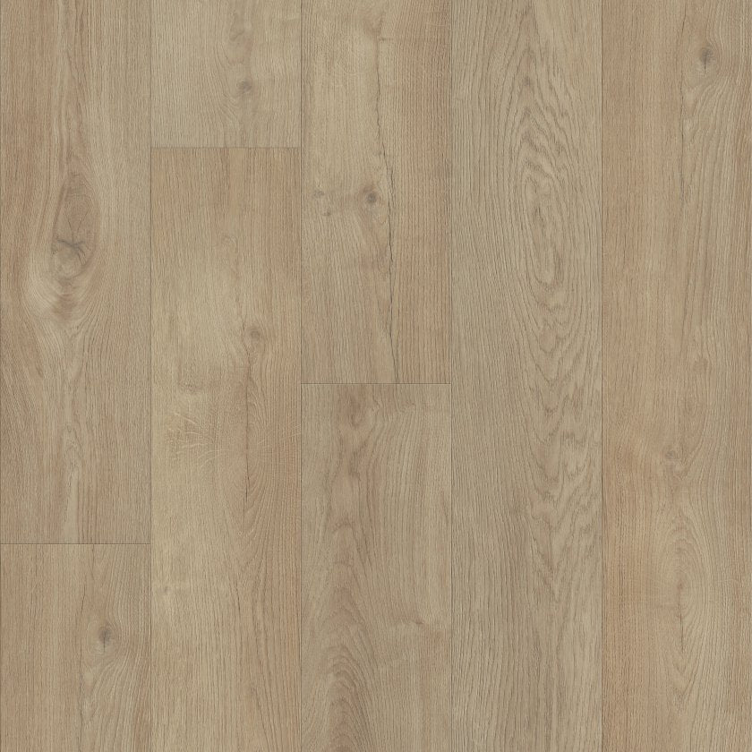 Titan HD Plus By Shaw