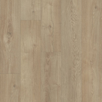 Titan HD Plus By Shaw