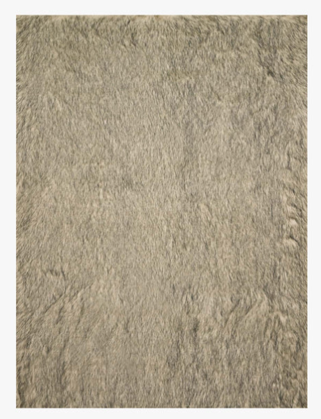 Finley 3'x5' Rug