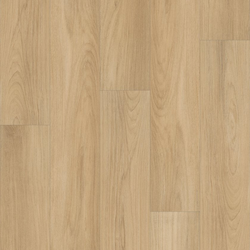 Distinction Plus By Shaw