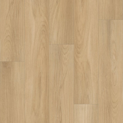 Distinction Plus By Shaw