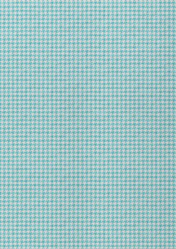 Hinton Indoor/Outdoor Rug