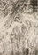KM17 Gray