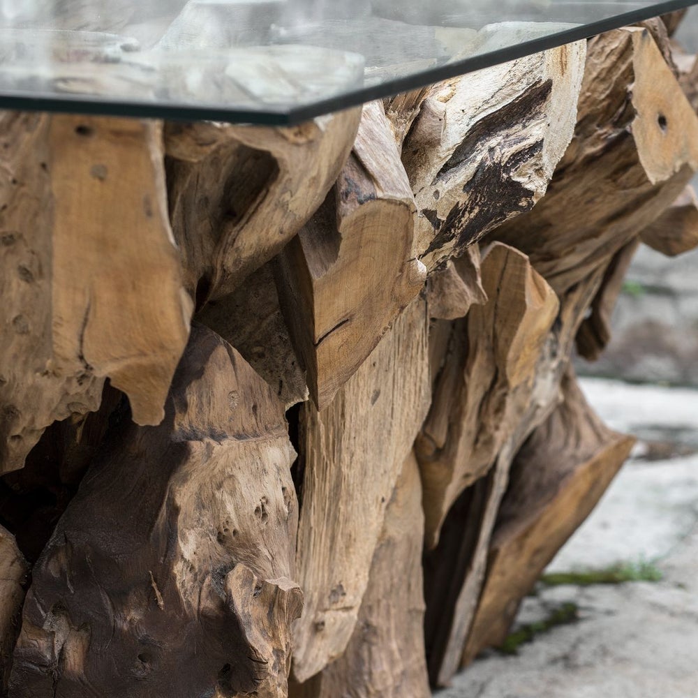 Teak Root Coffee Table