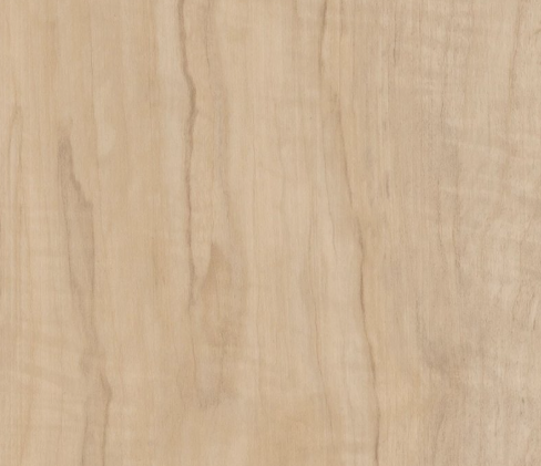 Endura Plus By Shaw