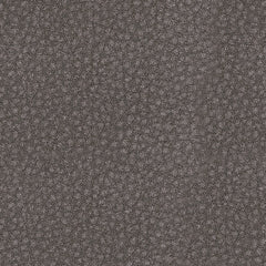 61003/58/62 : 61003S1