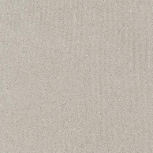 Alana Velvet Upholstered Dining Arm Chair Sand