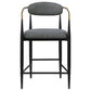 Tina Metal Counter Height Bar Stool with Upholstered Back and Seat Dark Grey (Set of 2)