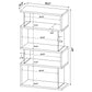 Emelle 4-shelf Bookcase with Glass Panels