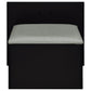 Flora 2-drawer Vanity Set with LED Mirror Black High Gloss