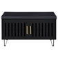 Brixton 2-door Padded Entryway Shoe Storage Bench Black