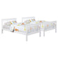 Chapman Wood Twin Over Twin Bunk Bed with Mattress White