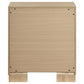 Arielle 2-drawer Bedroom Nightstand with Casters Light Oak