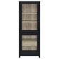 Denison 67-inch 2-door Media Tower Storage Cabinet Black