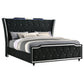 Lorient California King LED Upholstered Bed Black