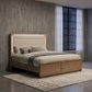 Leanne Queen LED Panel Bed Off White and Light Oak