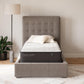 Ashley Express - Limited Edition Plush  Mattress
