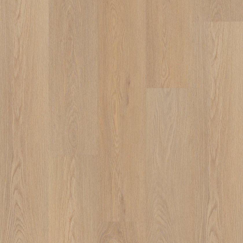 Distinction Plus By Shaw